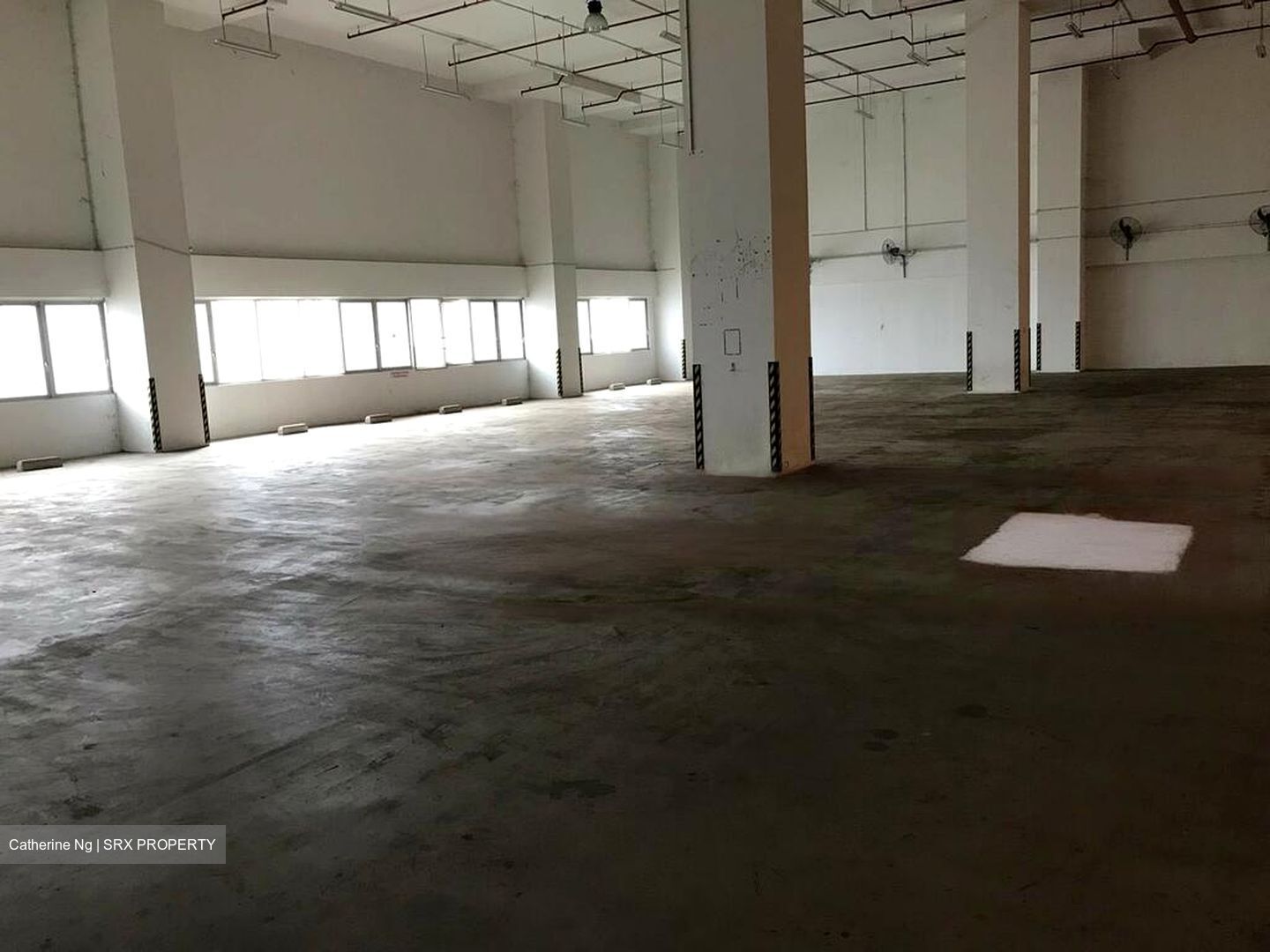 In Space (D19), Warehouse #497407671